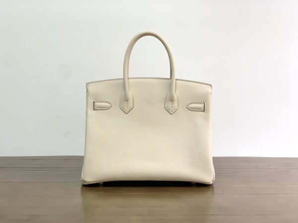 Hermes Birkin Gold Buckle Handbag - Milkshake White - Image 5